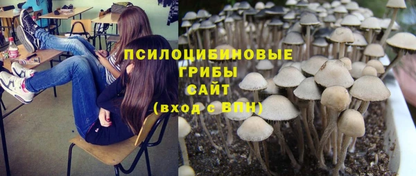 винт Покровск