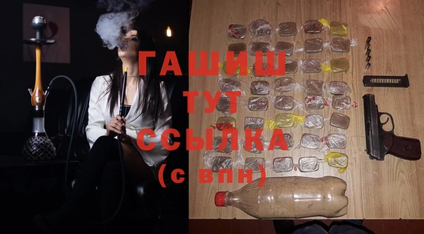 гидра Покачи