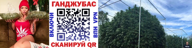 Конопля семена  Выкса 